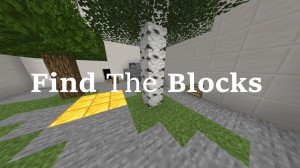 Descarca Find The Blocks pentru Minecraft 1.14.4
