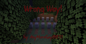 Descarca Wrong Way 1.0 pentru Minecraft 1.18.2