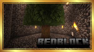 Descarca BedBlock pentru Minecraft 1.21.5